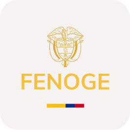 Logo Fenoge P