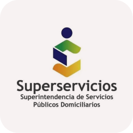Logo Super Servicios P